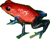 Avatar du membre