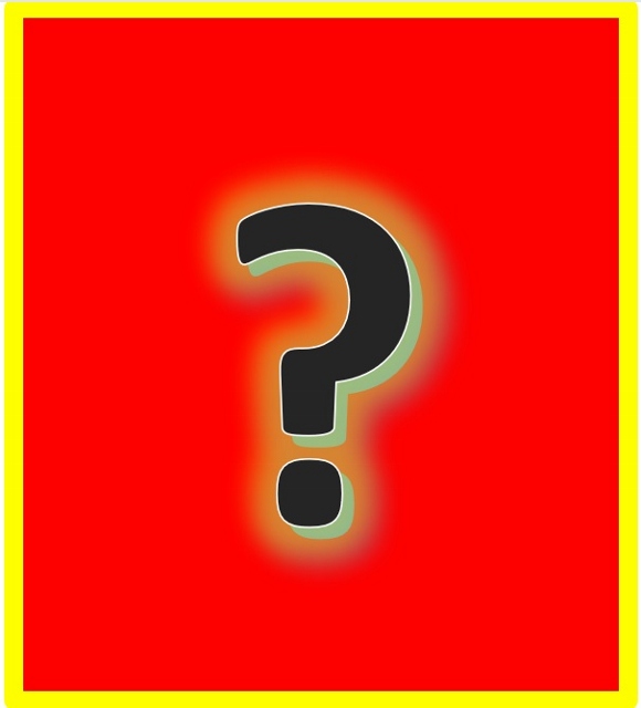 point interrogation (580x640).jpg