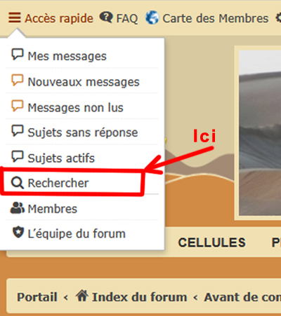 Sans titre-1.jpg
