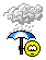 pluie: