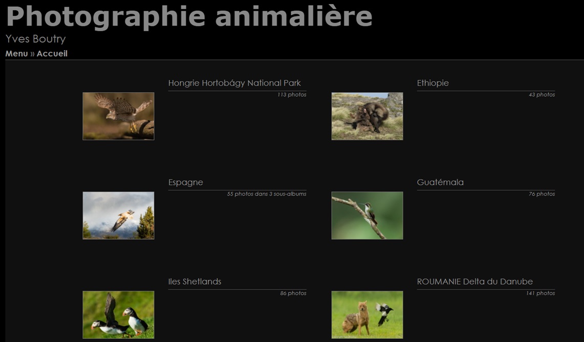 site du mois.jpg